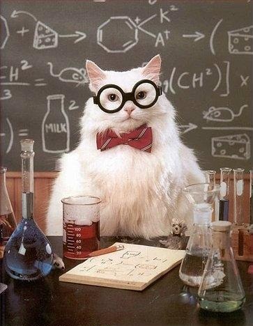 化学猫赞成这种对科学有价值的贡献